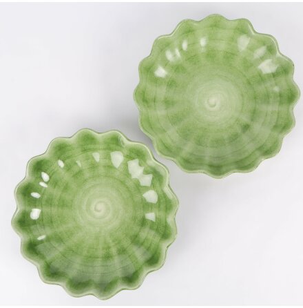 Mateus - Grna oyster sklar - Diameter: 23cm - 2st