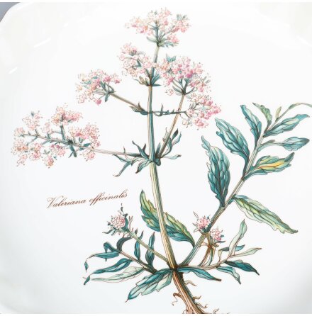 Villeroy &amp; Boch - Vilbofour Botanica - Pajform - Vit - Valeriana Officinalis 