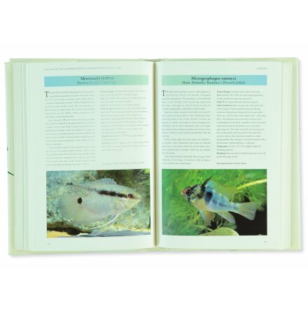 The Concise Encyclopedia of Popular Freshwater Tropical Fish - John Dawes - Atlas, Djur, Natur &amp; Resor - ENG