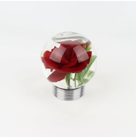 Le Rosarium - Nicesilk of Rosarium - Glaskula med vatten och stor fin röd ros