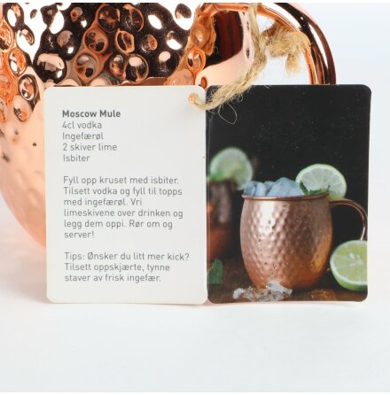 Modern House - Moscow Mule muggar - 4st